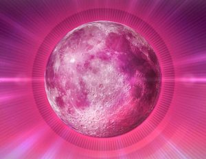 Pink Full Moon