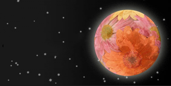 Flower Full Moon