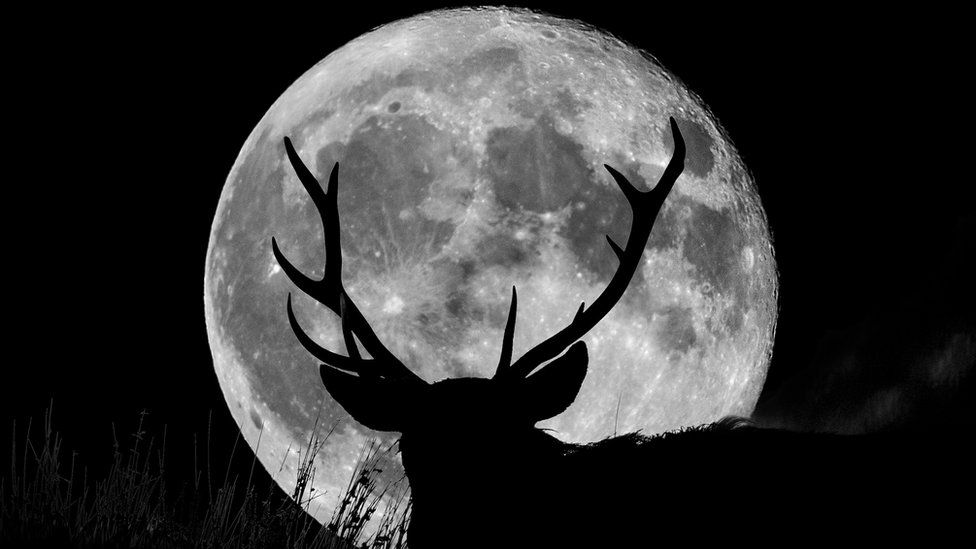 Buck moon