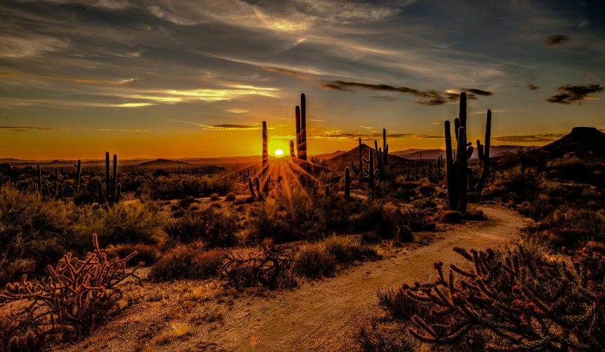 sound healing in scottsdale : desert wellness journey