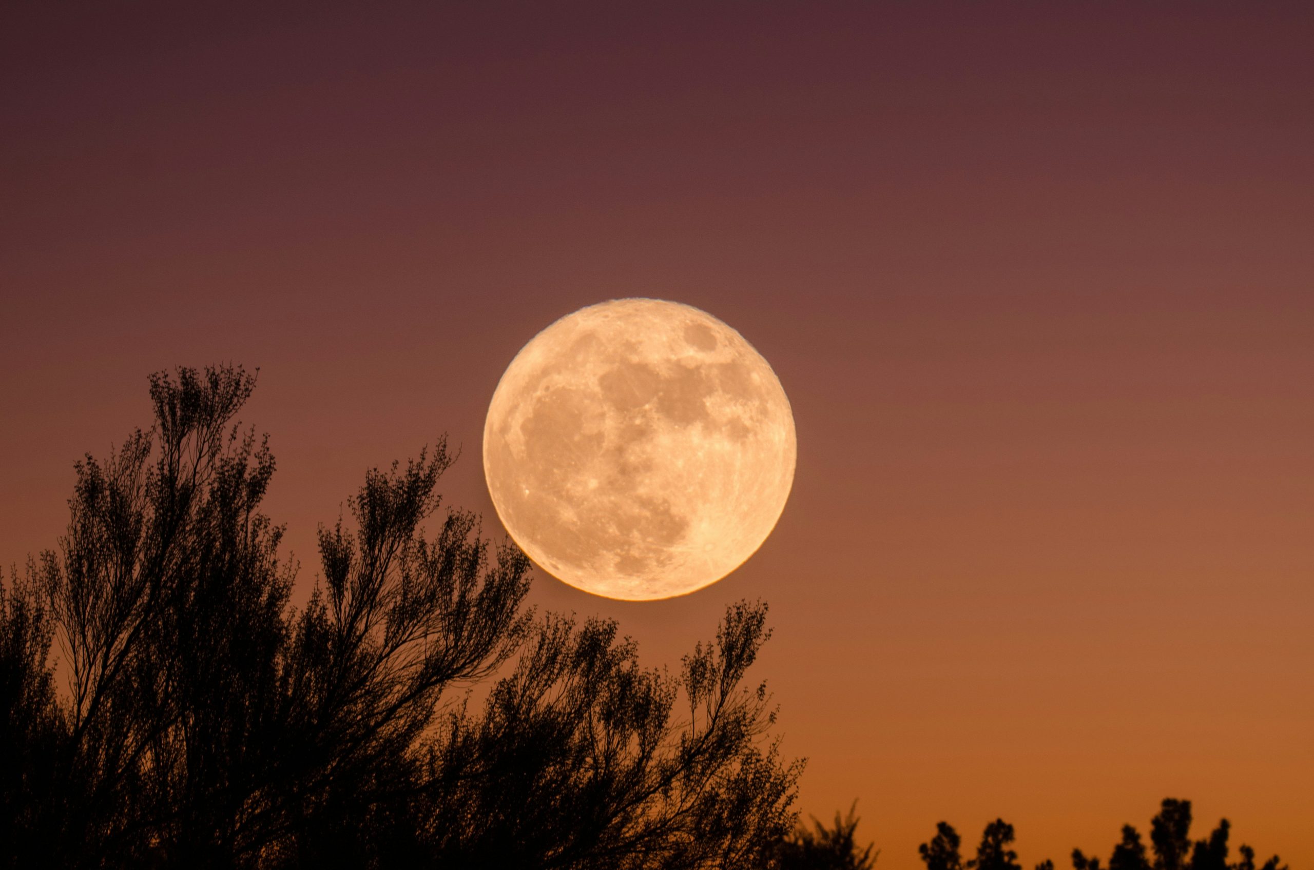 Featured image for “October Hunter’s Full Moon Sound Bath”