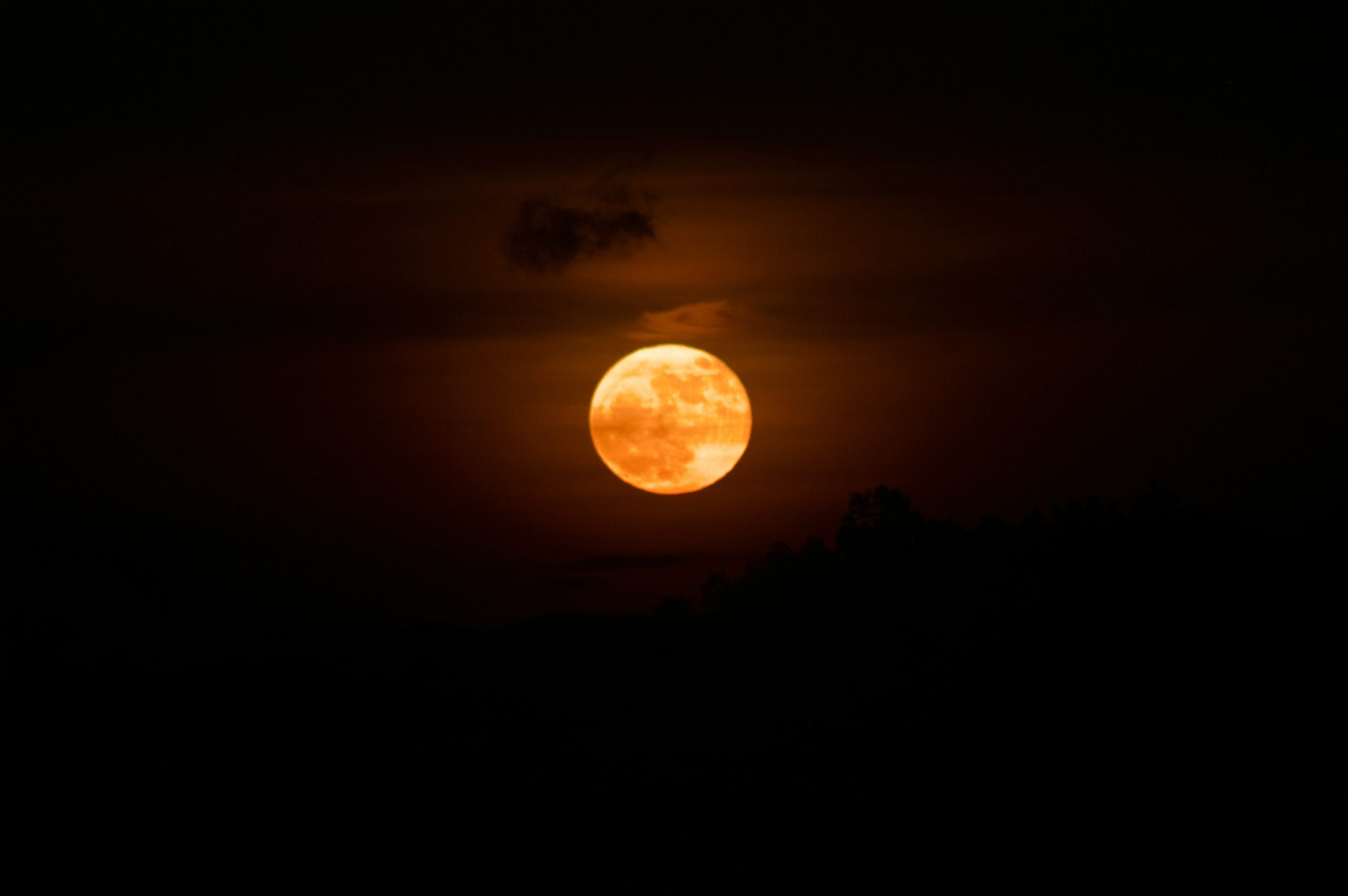 Featured image for “March 2026 Blood Moon: a Full Moon and Lunar Eclipse Sound Bath”